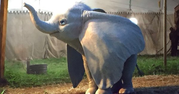Primeiro olhar / o novo trailer Dumbo da Disney é completamente adorável post thumbnail image